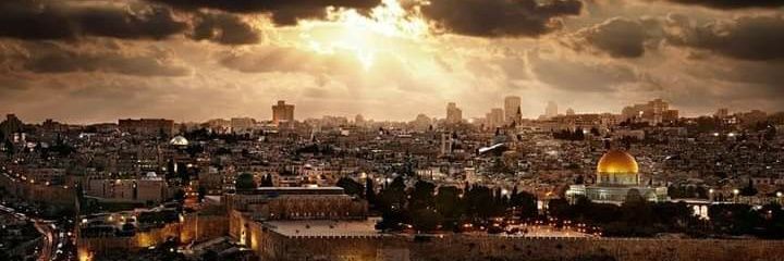 Sara Diaa Antiq 🇵🇸's banner