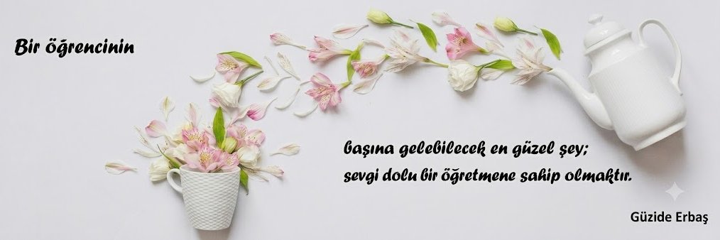 Güzide E. Mertcan's banner