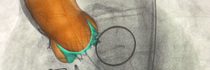 ROBERTO MURATALLA MD's banner