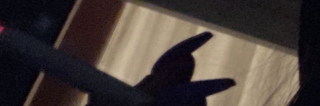 Lana's banner