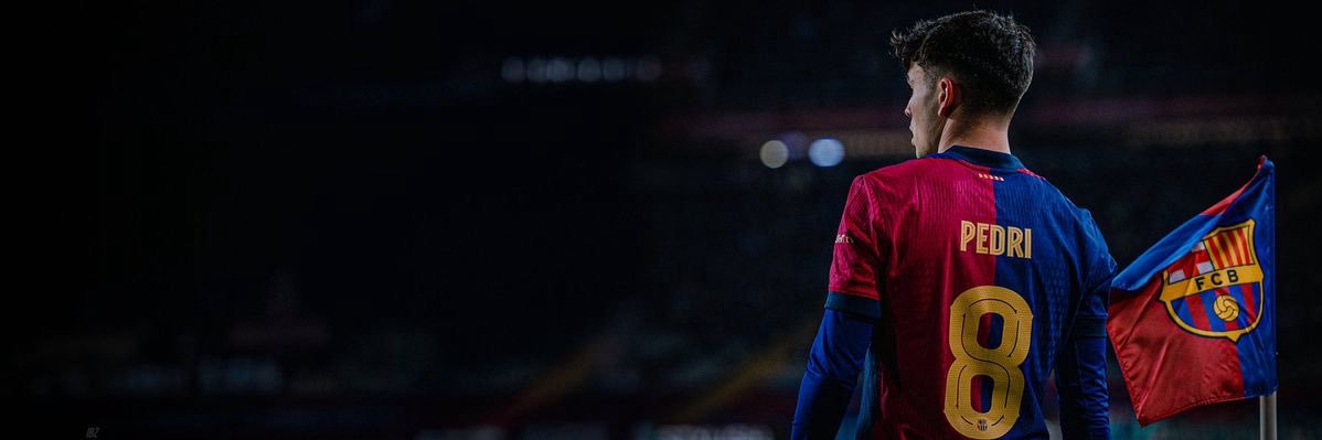 𝐏𝐄𝐃𝐑𝐈𝐍𝐇𝐎's banner
