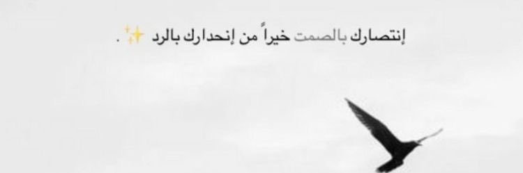 نـــورهـ🦋's banner