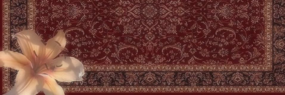 𝐀𝐥𝐢𝐧𝐚's banner