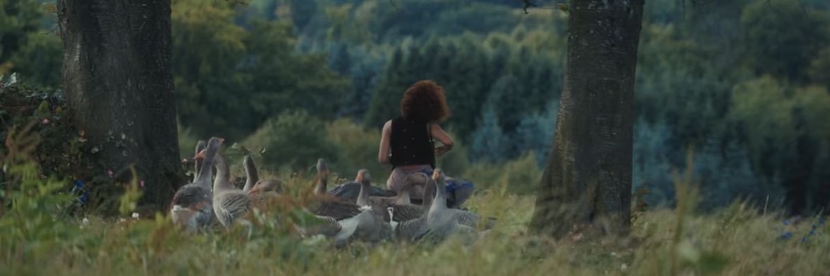 sarah 𓏲ּ𝄢 agggtm spoilers's banner
