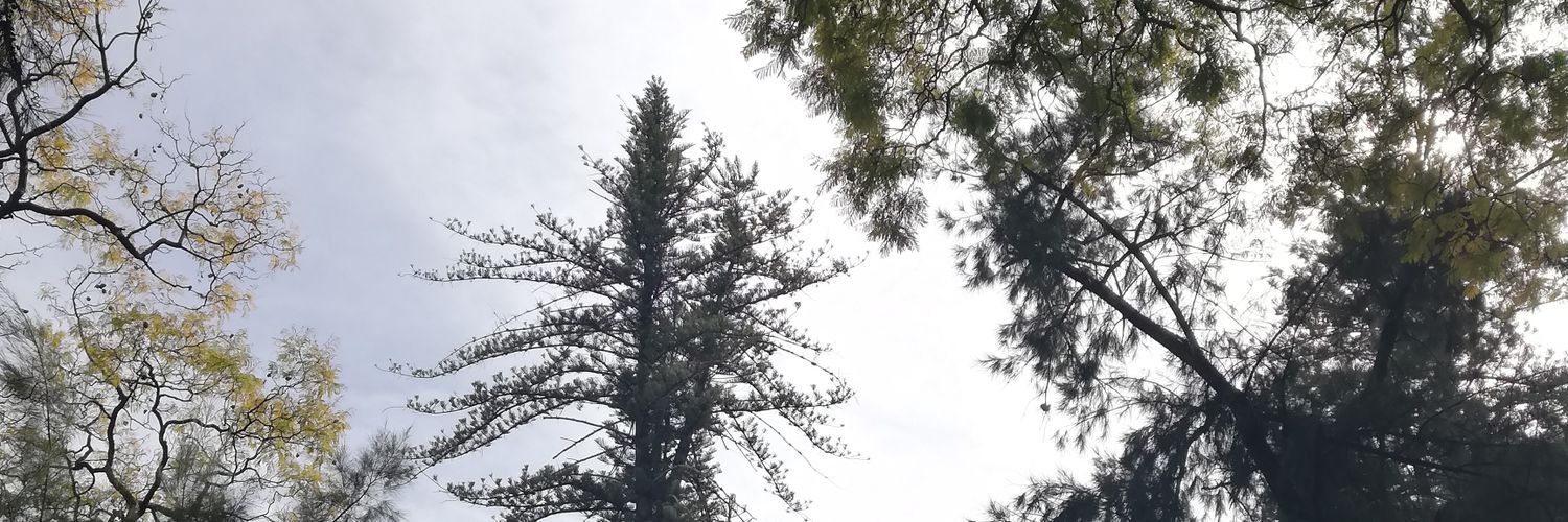 niña traviesa 🔥's banner