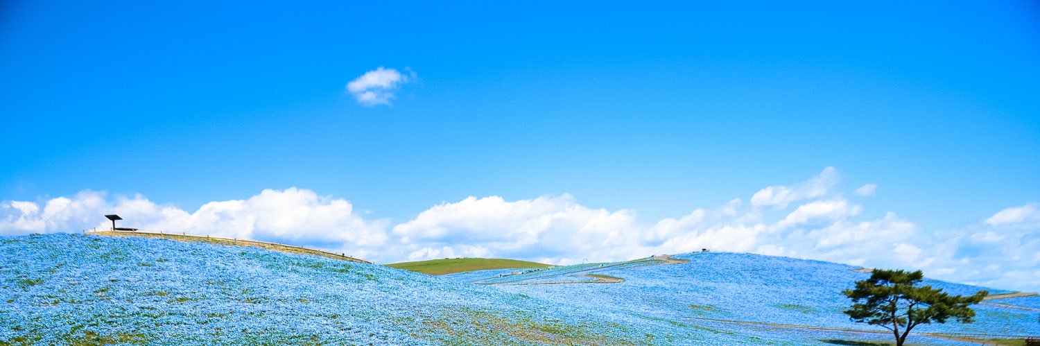 大空大地's banner