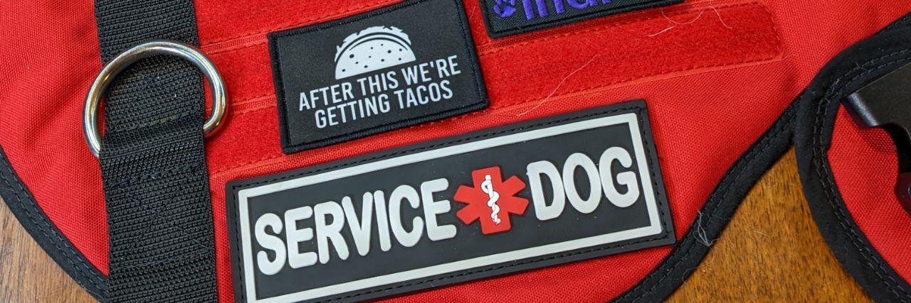 Spicy Service Dog 🐕‍🦺's banner