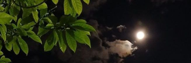 ڪــٰا̍ٺــڔٻۧــنۨ's banner