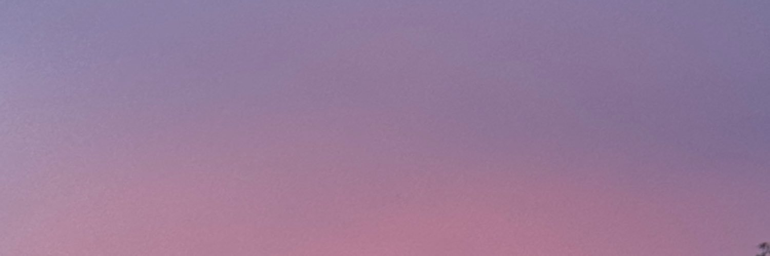 aneesa ໒꒱'s banner