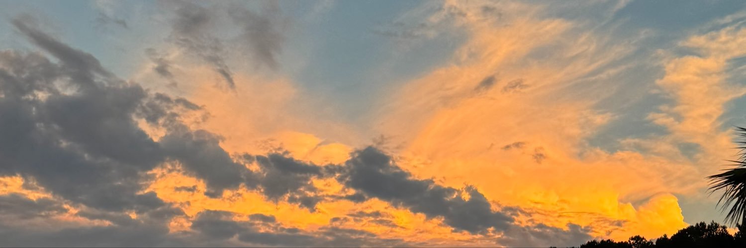 aneesa ໒꒱'s banner