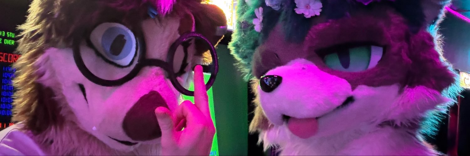Frizk's banner