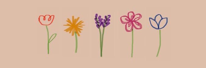 🖖🏻A🩷V🩵共同帳號🖖🏻's banner