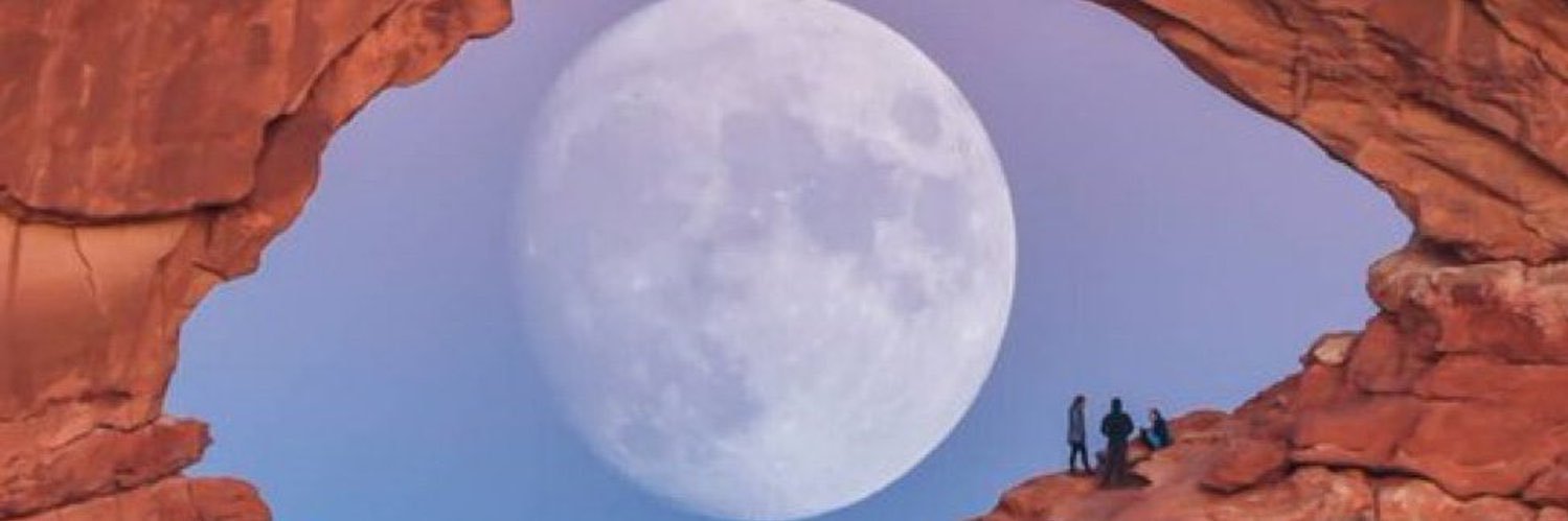 🦋M o r g a n's banner