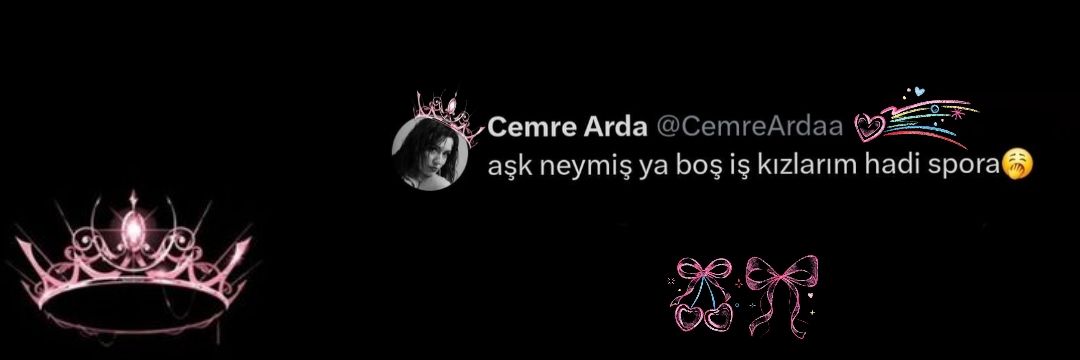 ibrahimovaa🎀's banner