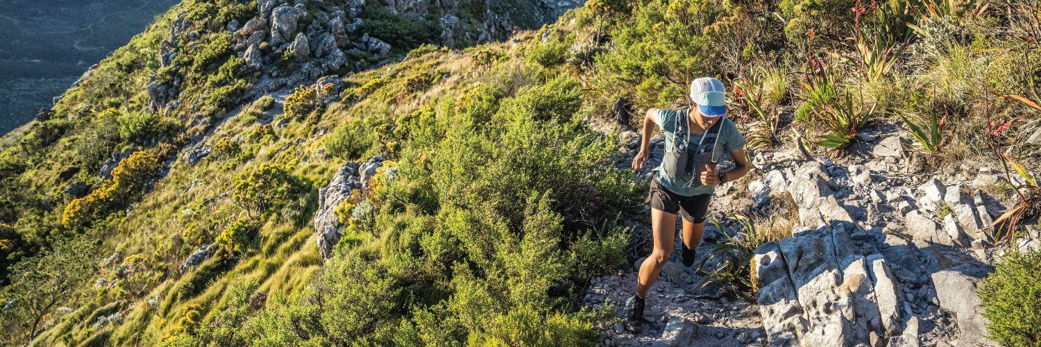 Patagonia's banner