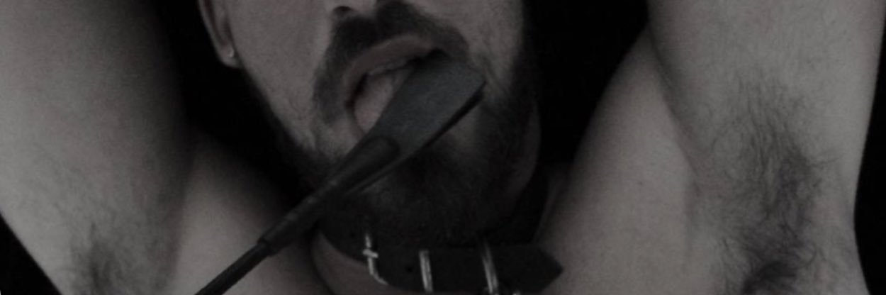 Mansur the Dom's banner
