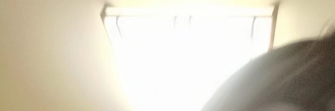 真绪's banner