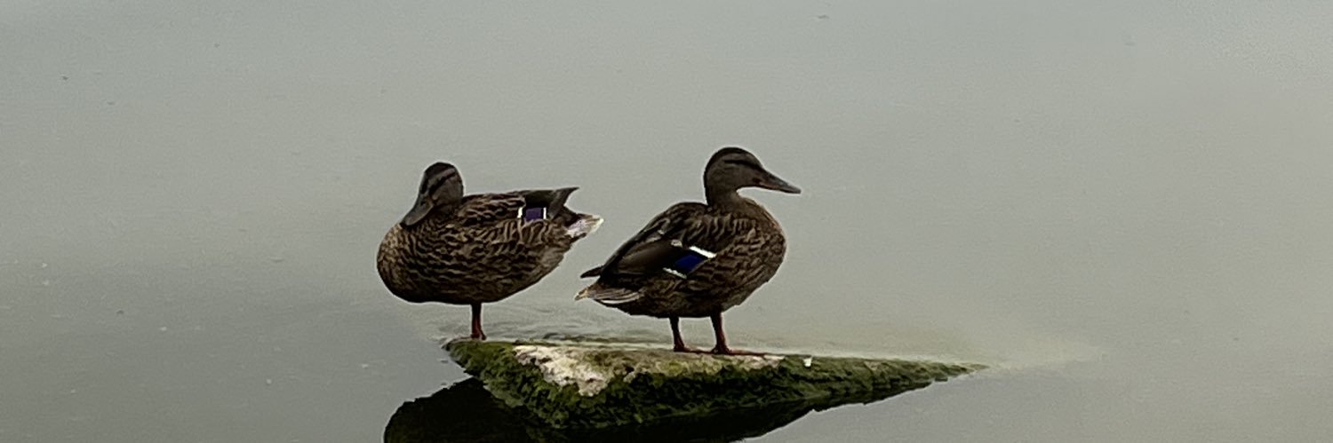 не їж, не пий, молись's banner