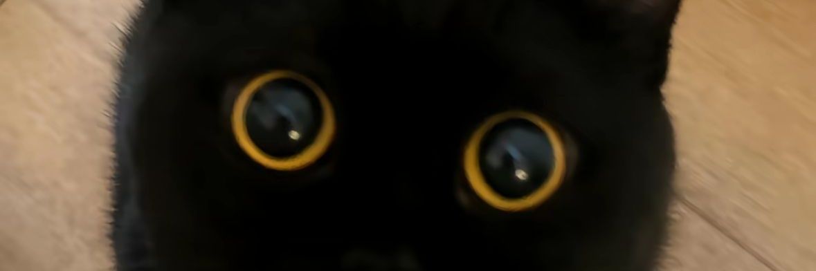 Sparking Black Beerus's banner