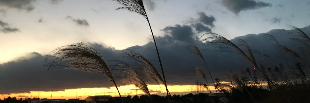 高須光聖's banner