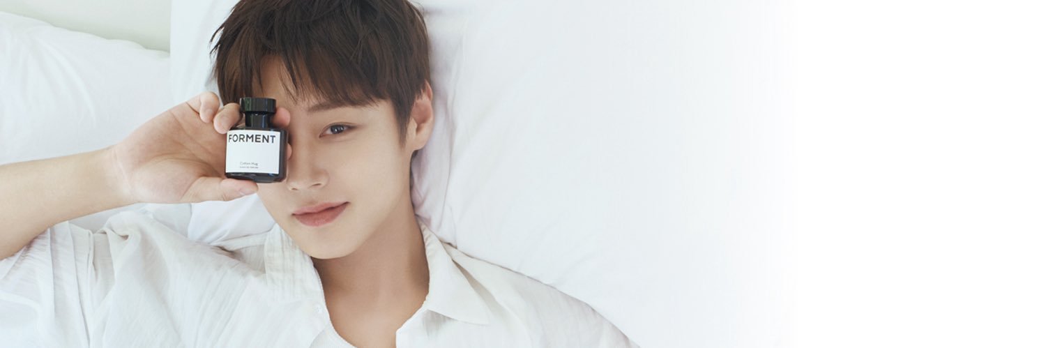 di's banner