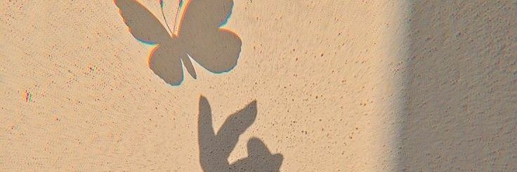 I’m Lemon 🦋's banner