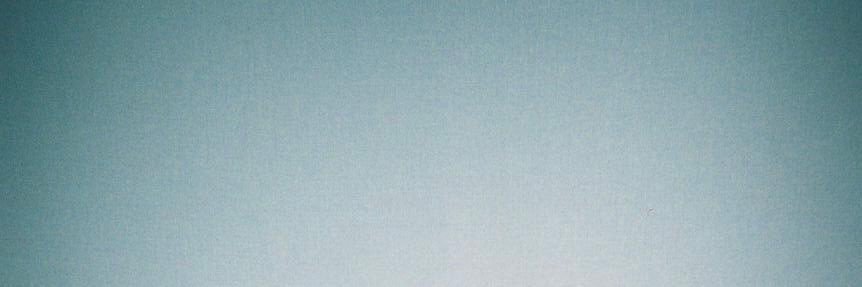 焼き鳥's banner