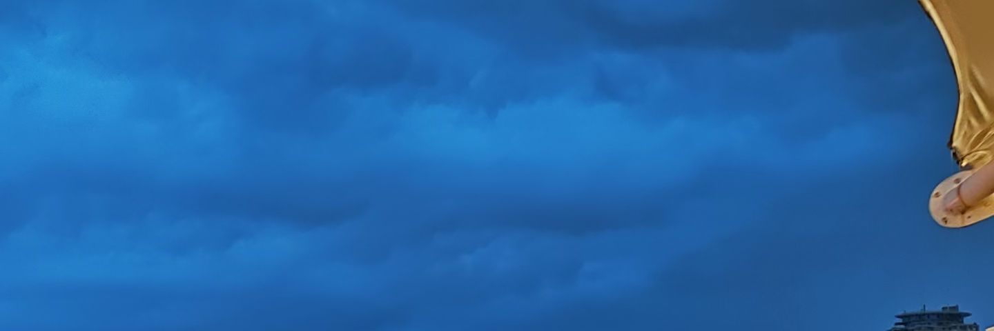 要饿死了（吃拼好饭版）'s banner