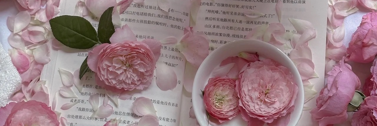 白の薇's banner