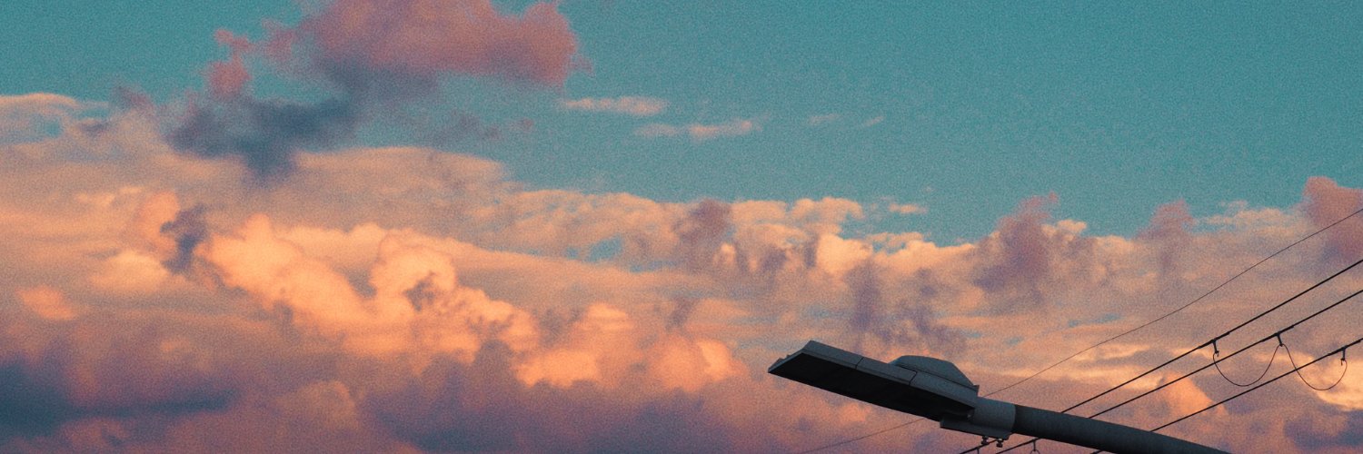 ほーりーふぉっくす's banner