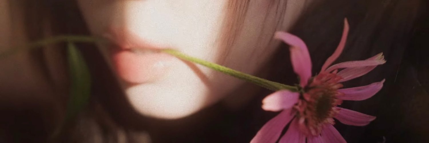 lm__wz 🍋's banner