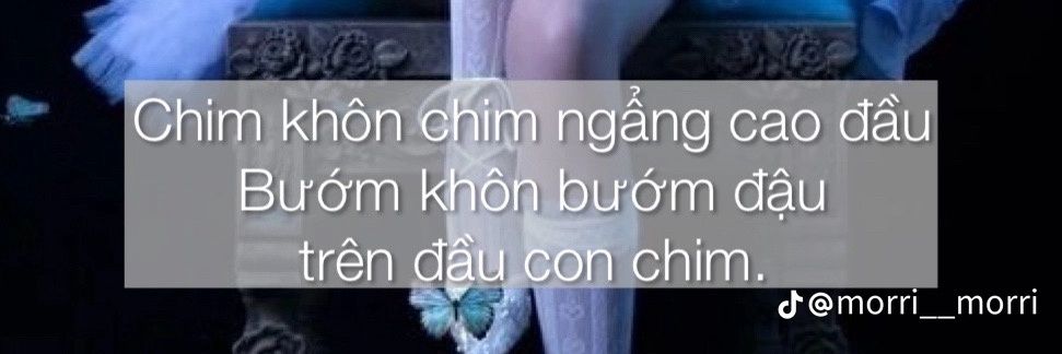 soái muội ( chuppy) 🥺's banner