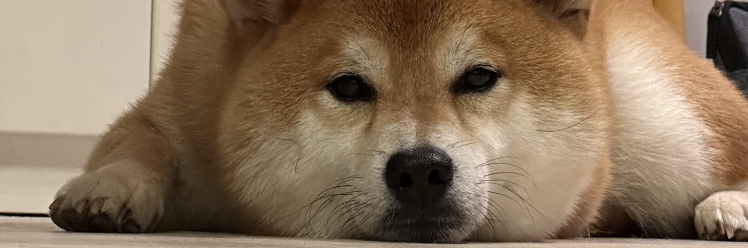 しばいぬのももた's banner