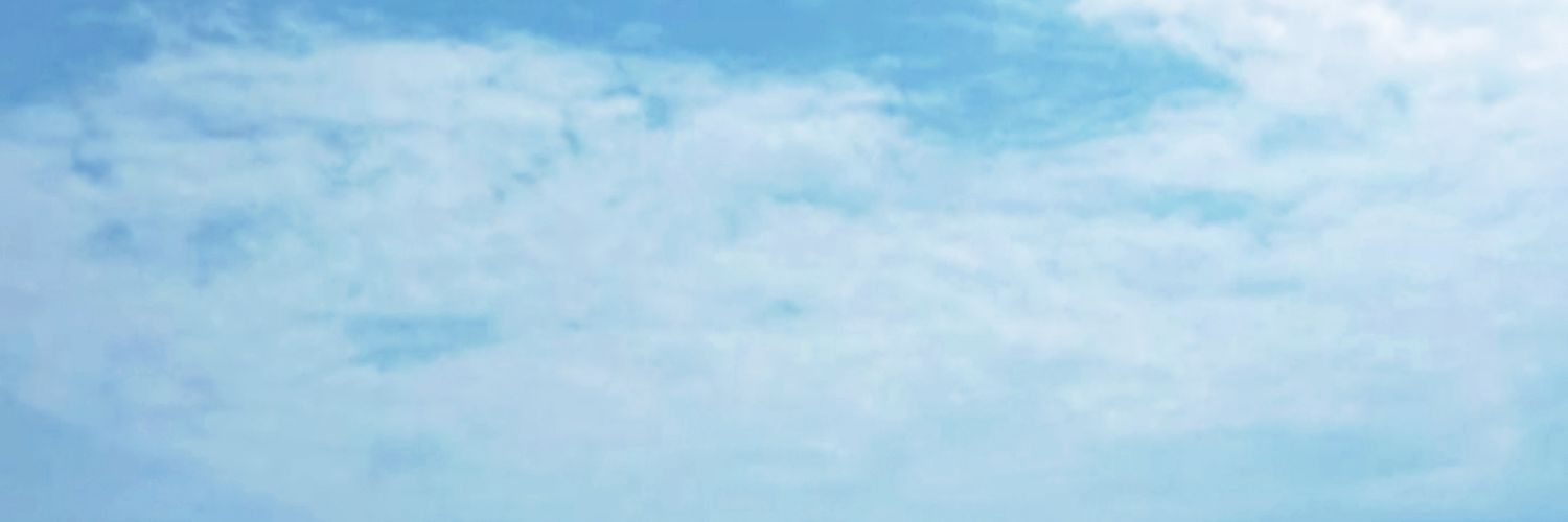 nona's banner