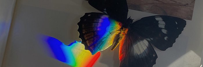 切尔斯's banner