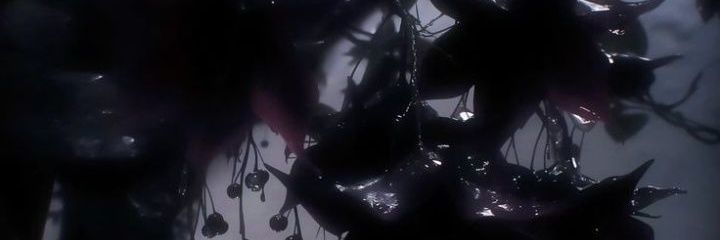 𝘼𝙨𝙢𝙤𝙙𝙚𝙪𝙎's banner