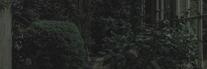𝐽𝑎𝑘𝑒 ☄︎'s banner