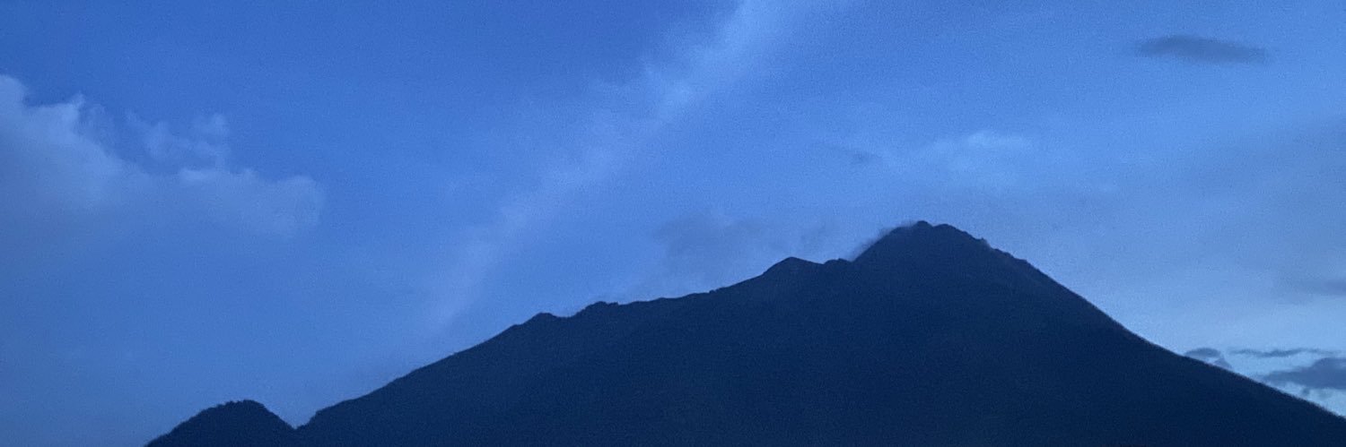 Dina 12's banner