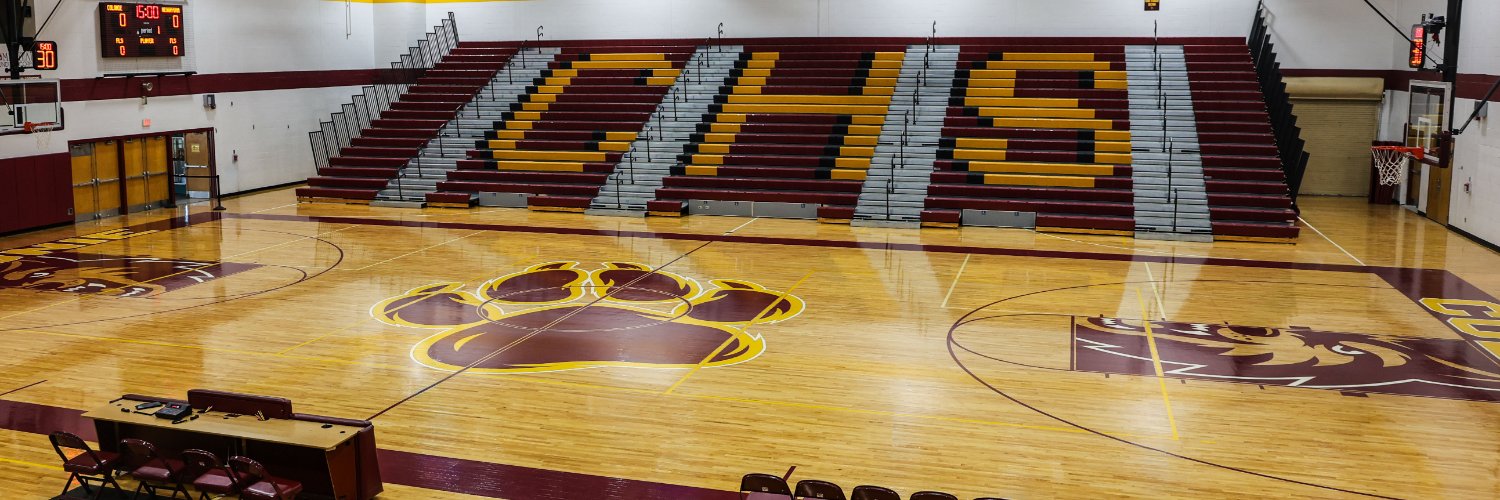 Colonie Athletics's banner