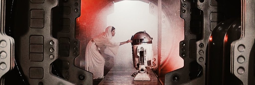 leiaspacebuns's banner