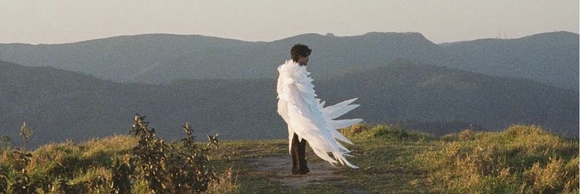 nicolas curioso's banner