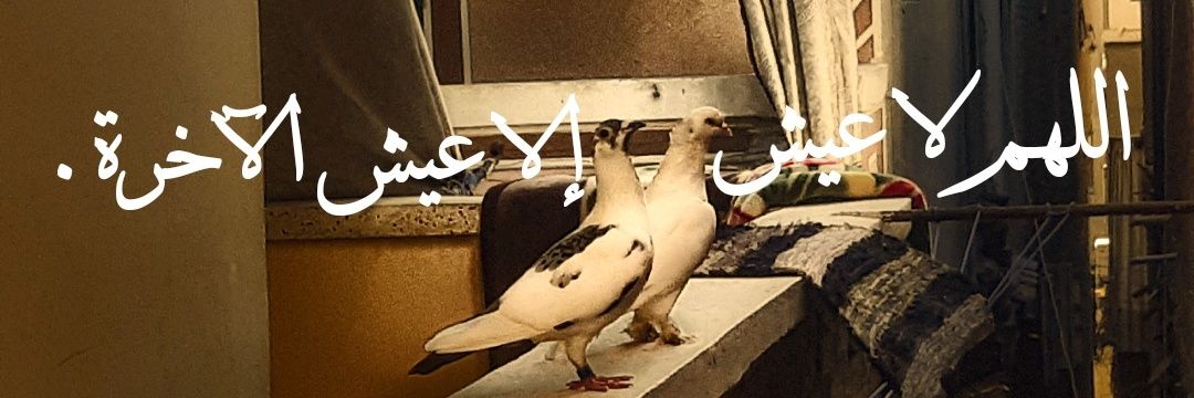 ⚜️ آزاد. ⚜️'s banner