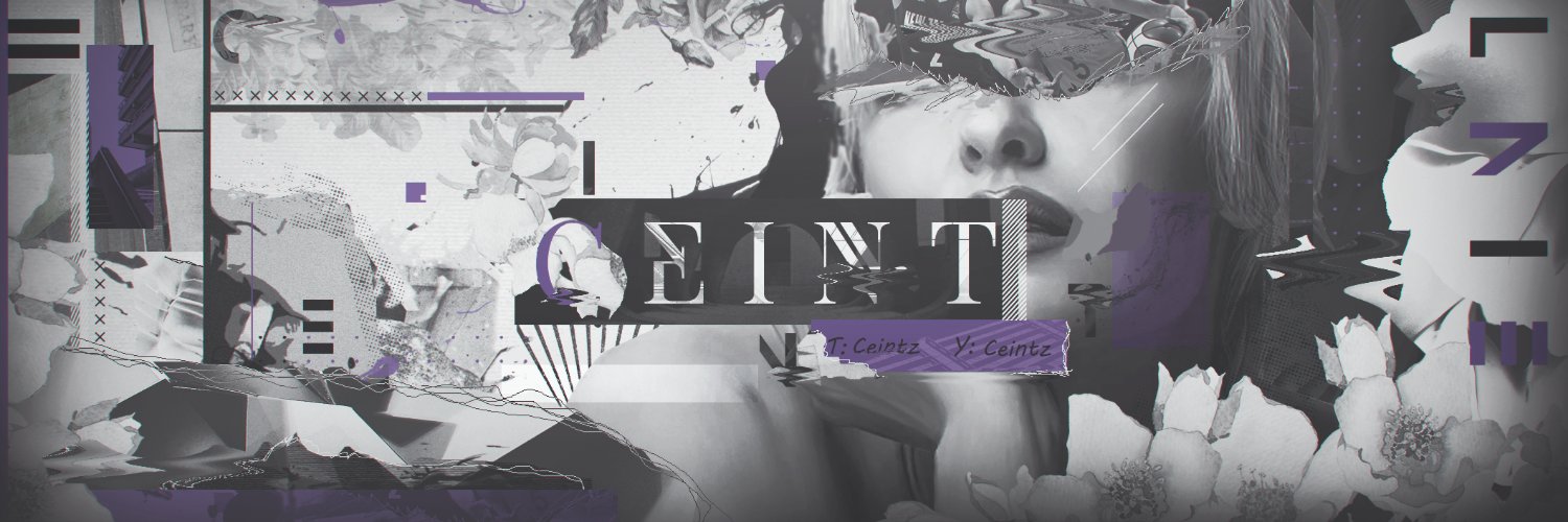CEINT's banner