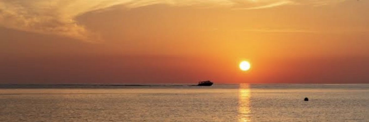 日本代表's banner