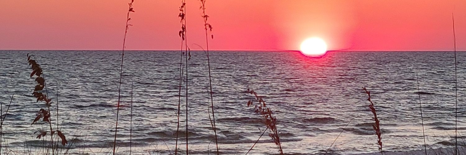 Bama_Jeans's banner