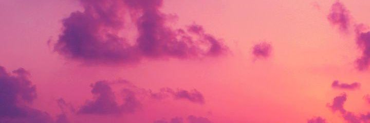 🍄🌿 fern 🌿🍄's banner