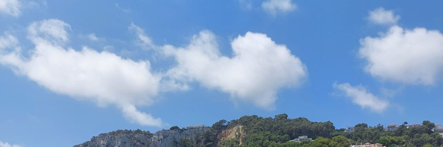 pɪαrsαn 🤍's banner