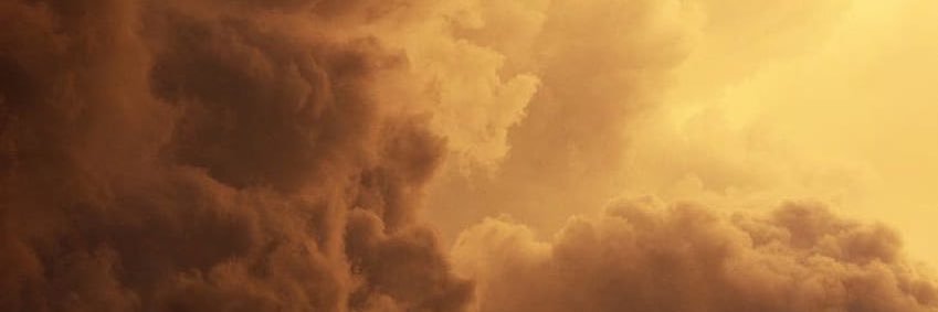 Eden's banner
