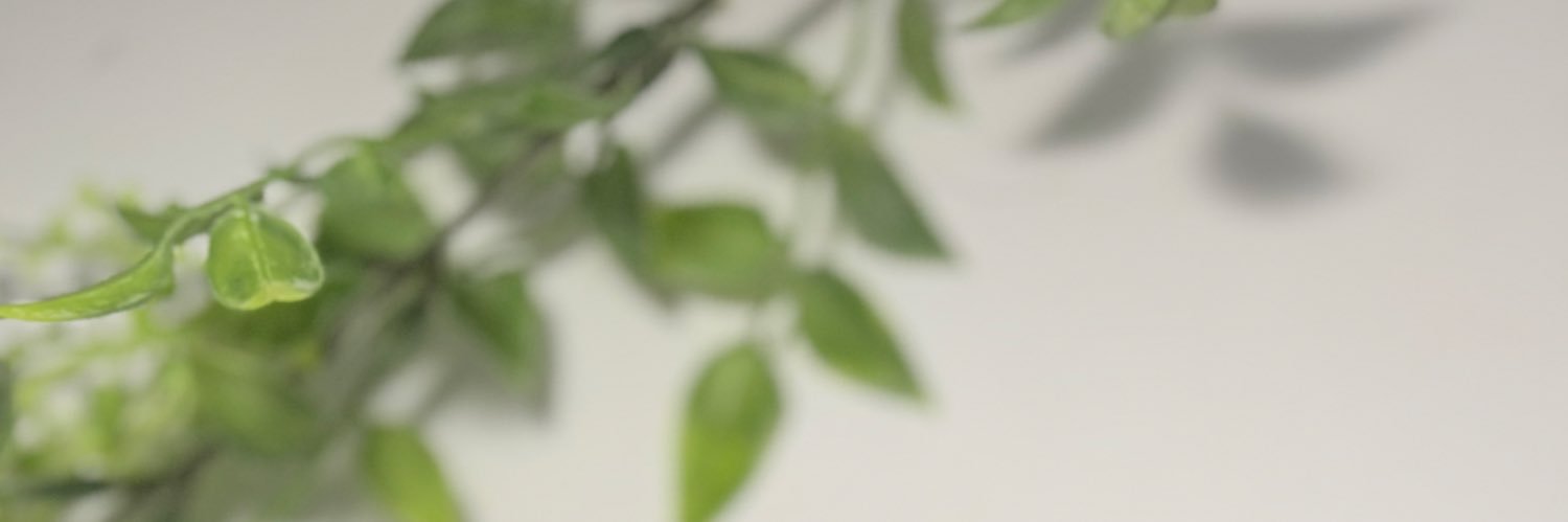 大久保詩音|D2Cデザイナー|㍿ディネクト's banner