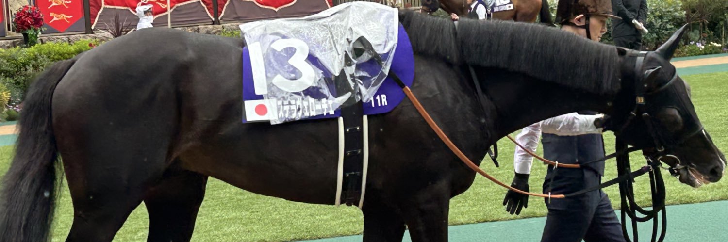 涼華🐴's banner